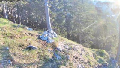 Live Webcam Steinadler Klausbachtal