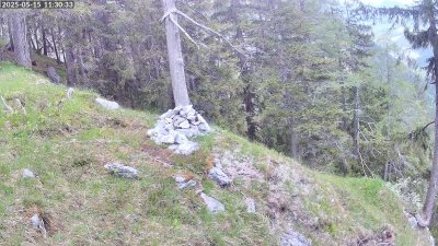 Live Webcam Steinadler Klausbachtal