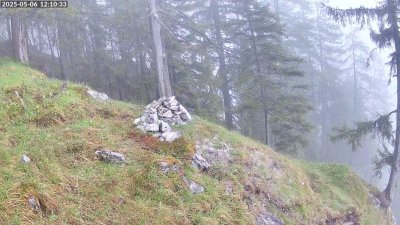 Live Webcam Steinadler Klausbachtal