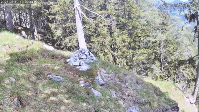 Live Webcam Steinadler Klausbachtal