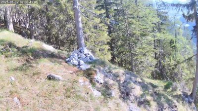Live Webcam Steinadler Klausbachtal