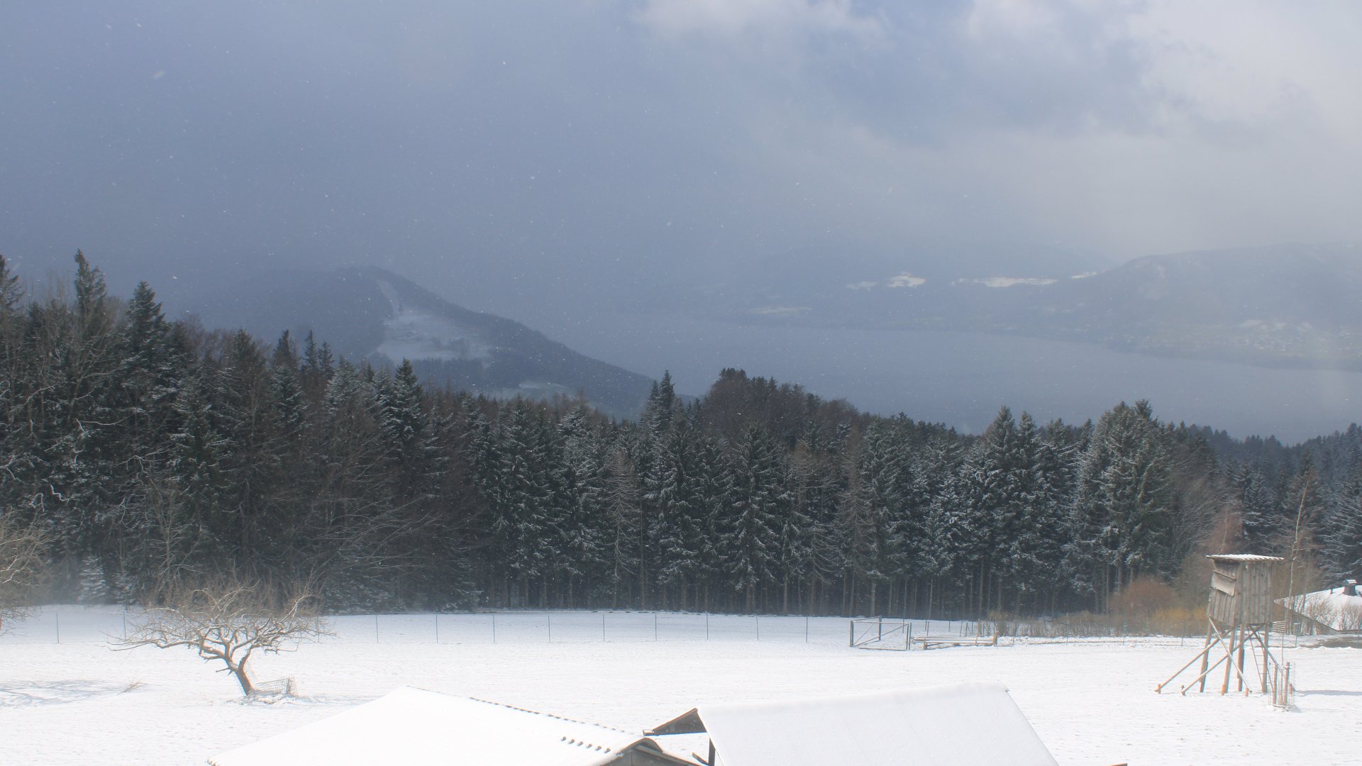 Appartement Christine-Blick vom Gahberg über den Attersee