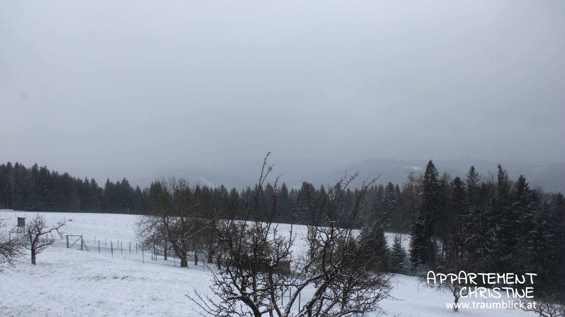 Appartement Christine-Blick vom Gahberg zum Höllengebirge