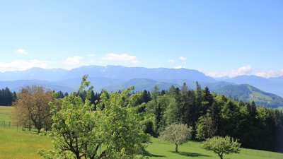 Fotowebcam Attersee-Höllengebirge