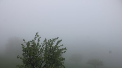 Fotowebcam Attersee-Höllengebirge