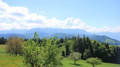 Fotowebcam Attersee-Höllengebirge