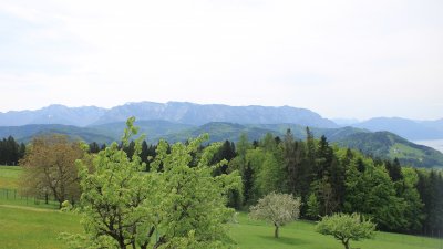 Fotowebcam Attersee-Höllengebirge