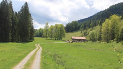 Bayrischzell-Bäckeralm
