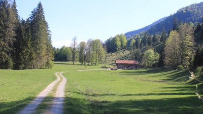Bayrischzell-Bäckeralm