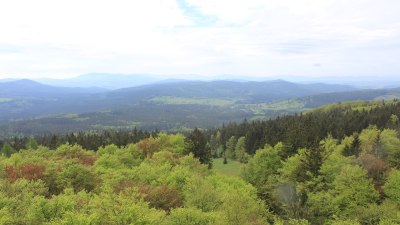 Fotowebcam Böhmerwaldturm-Süd