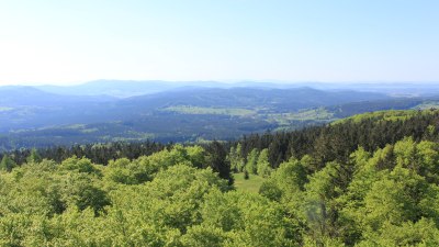 Fotowebcam Böhmerwaldturm-Süd