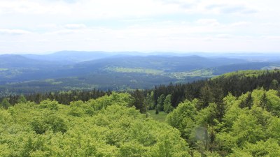 Fotowebcam Böhmerwaldturm-Süd