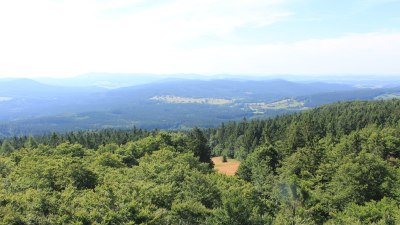 Fotowebcam Böhmerwaldturm-Süd