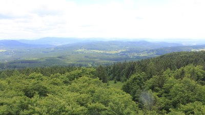 Fotowebcam Böhmerwaldturm-Süd