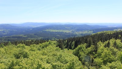 Fotowebcam Böhmerwaldturm-Süd