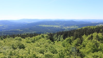 Fotowebcam Böhmerwaldturm-Süd