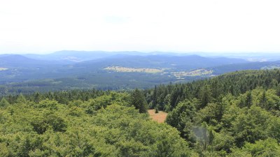 Fotowebcam Böhmerwaldturm-Süd