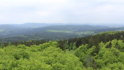 Fotowebcam Böhmerwaldturm-Süd