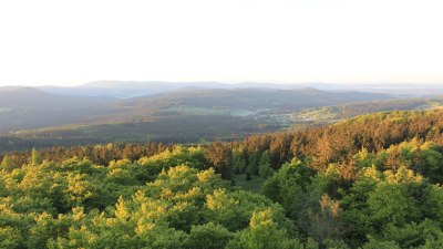 Fotowebcam Böhmerwaldturm-Süd