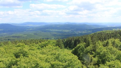 Fotowebcam Böhmerwaldturm-Süd
