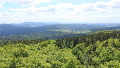 Fotowebcam Böhmerwaldturm-Süd