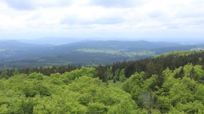Fotowebcam Böhmerwaldturm-Süd