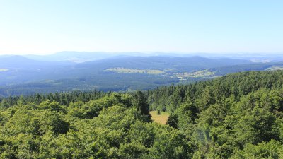Fotowebcam Böhmerwaldturm-Süd