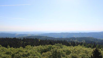 Fotowebcam Böhmerwaldturm-Ost