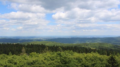 Fotowebcam Böhmerwaldturm-Ost