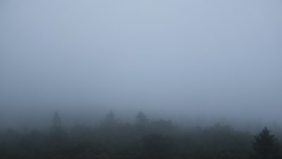 Fotowebcam Böhmerwaldturm-Ost
