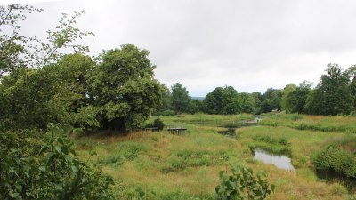 Fotowebcam Auepark Donauursprung Breg2