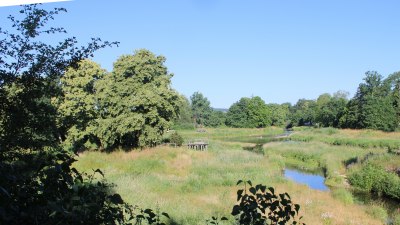 Fotowebcam Auepark Donauursprung Breg2