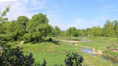 Fotowebcam Auepark Donauursprung Breg2