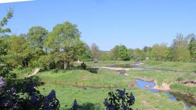 Fotowebcam Auepark Donauursprung Breg2