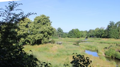 Fotowebcam Auepark Donauursprung Breg2