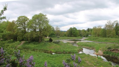 Fotowebcam Auepark Donauursprung Breg2