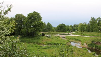 Fotowebcam Auepark Donauursprung Breg2