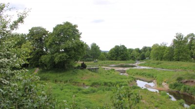 Fotowebcam Auepark Donauursprung Breg2