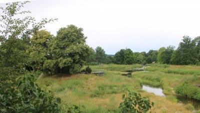 Fotowebcam Auepark Donauursprung Breg2