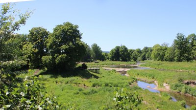 Fotowebcam Auepark Donauursprung Breg2