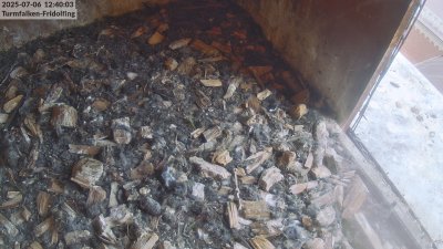 Live Webcam Turmfalken Fridolfing