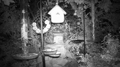 Live Webcam Futterstelle LBV