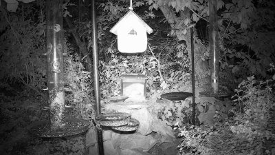 Live Webcam Futterstelle LBV