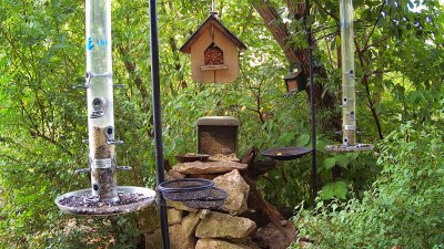 Live Webcam Futterstelle LBV