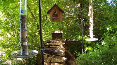 Live Webcam Futterstelle LBV