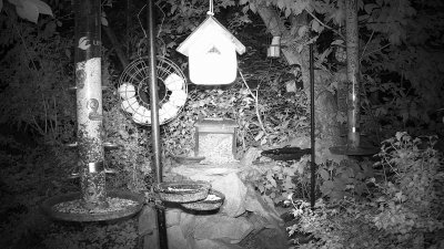 Live Webcam Futterstelle LBV