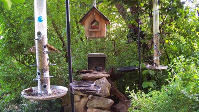 Live Webcam Futterstelle LBV