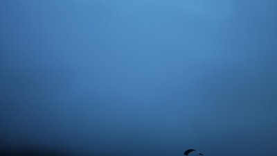 Fotowebcam Garmisch-Kandaharlodge