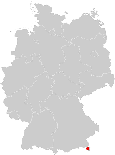 Halsgrube-Bartgeier