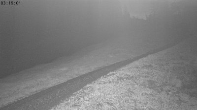 Heutal-Snow Stake